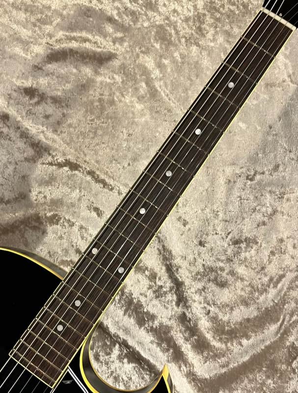 King Snake [USED] Black Bear Black [GTK017] | Reverb