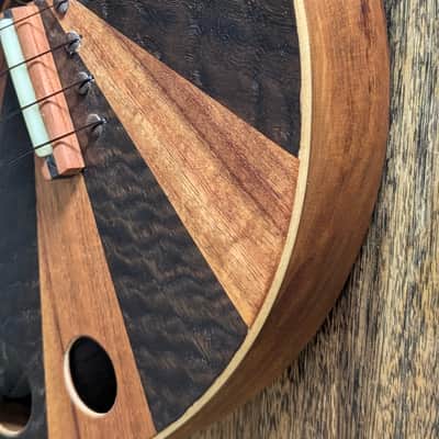 Rays Rootworks Electric acoustic Slimline concert ukulele 2026 - Oil image 5