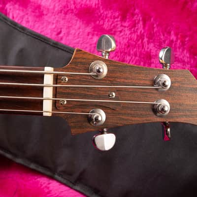 Ampeg Dan Armstrong Bass 1971 - Lucite image 4