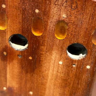 Immagine Gibson SG EB-0 1961 - 1968 - Cherry Husk Project Repair - 13