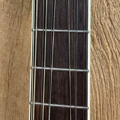 Alvarez 12 String image 14