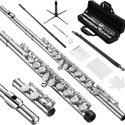 POGOLAB Closed Hole C 16 Keys Flute Instrument Kitchen Student Flute for Beginner Advanced Player image 1