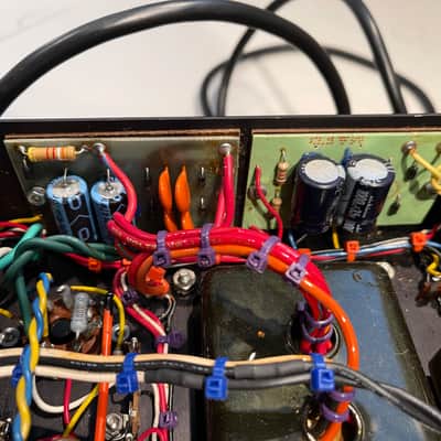 Dumble Overdrive Special with travel case image 11