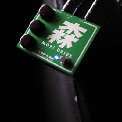 Greer Mori Drive imagen 3
