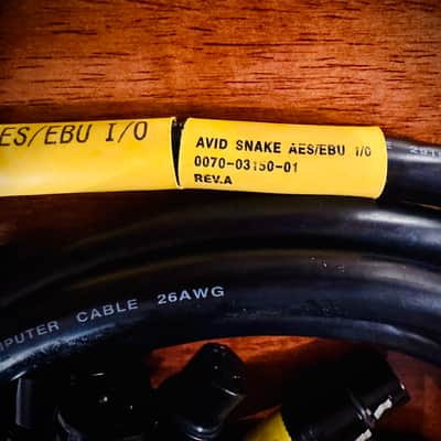 Avid DB25 to XLR M+F AES/EBU DigiSnake - 12 foot / 12’ image 2