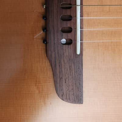 2000 Godin Multiac ACS (Non-SA) – Nylon-String Hybrid Maple/Cedar Body • Mahogany Neck • Ebony Fretboard image 2