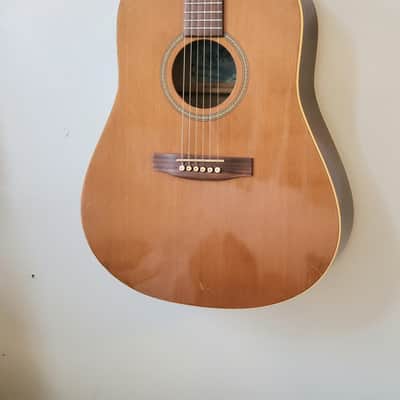 Seagull Godin 20th Anniversary Dreadnought Acoustic Guitar w/ Chainsaw Foam Fort Case image 1