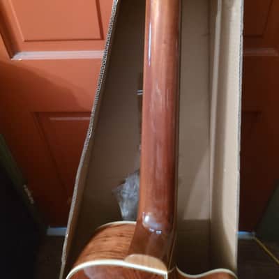 Left handed 6 string Warwick Alien Acoustic bass deluxe image 7