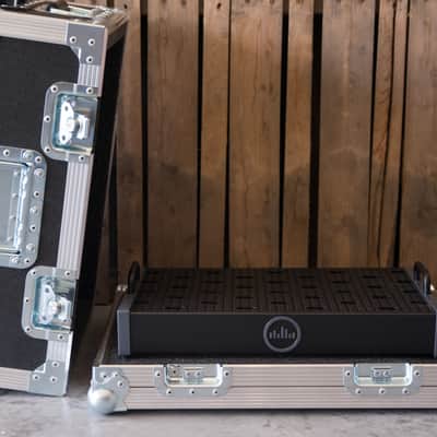 Everlasting Cases - Temple Audio DUO 17 Pedalboard Flight Case with Wheels image 1
