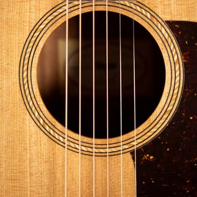 Taylor Academy 10e Dreadnought Acoustic/Electric Guitar with Gig Bag image 11
