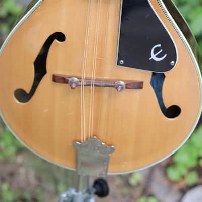 Epiphone mandolin 1970's - natural image 3