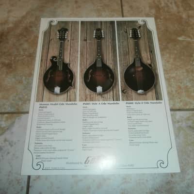 Vintage 1975 Gretsch Ode Banjo and Mandolin Catalog! Rare, Original Paperwork! Case Candy! image 3