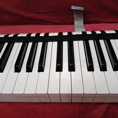 YAMAHA 88L 88H Complete 88 Keys Weighted Style 47W KORG T1 01W PRO X YAMAHA KX88 image 4
