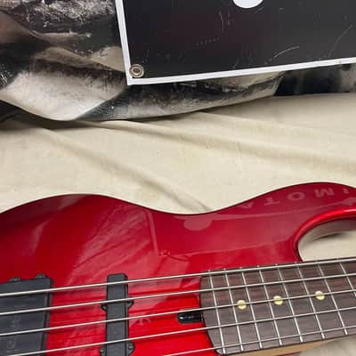 Lakland Skyline Series 55-02 5502 5-string Bass 2002 - Korea image 4