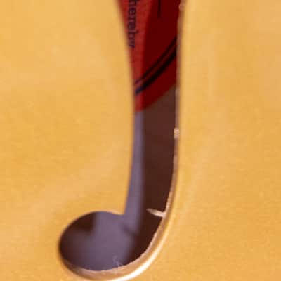 2021 Epiphone ES335 IG Gold image 5