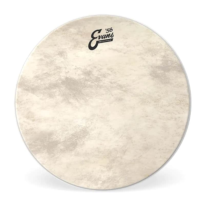 Evans BD22GB4CT EQ4 Calftone Bass Drum Head - 22" image 1