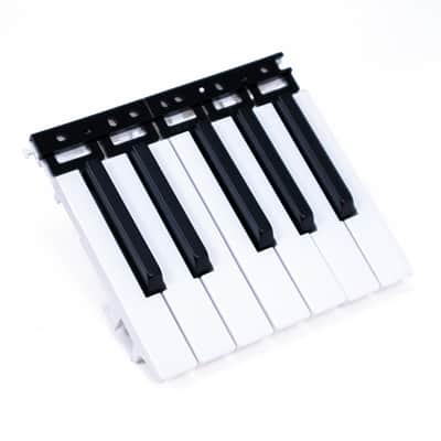 Korg Key Assembly for Minilogue, Minilogue XD, RK-100S, MS20 Mini, Arp Odyssey