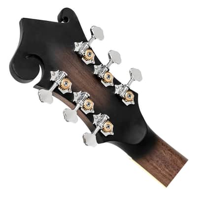 Gold Tone F-6 F-Style 6-String Guitar Mandolin - Open Box image 5
