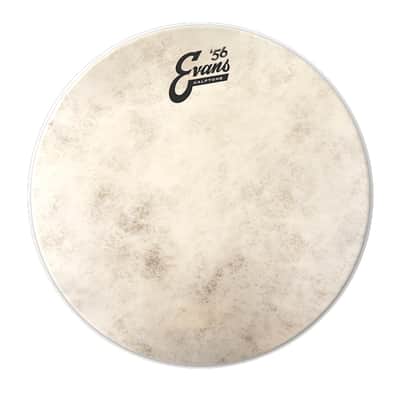 Evans '56 Calftone Drum Heads-12" image 1