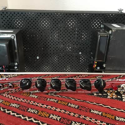 Trinity TripTop (Ampeg B-15 Clone) image 21