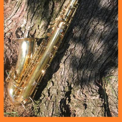 MARTIN 1930 GOLD PLATED PORTRAIT " THE GOLDEN-WINGED WARBLER " MASTER TYPEWRITER HANDCRAFT ALTO SAXOPHONE STUNNING LOVELY ENGRAVING & PLAYING WELL, ORG CASE , TECH SERVICED FREE SHIP image 14