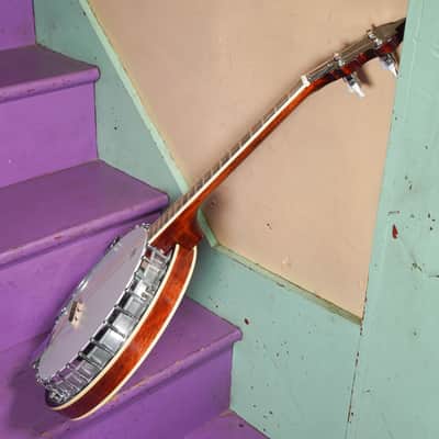 2020s Koda (McNeela) Resonator Tenor Banjo (VIDEO! Fresh Work, Ready) image 13