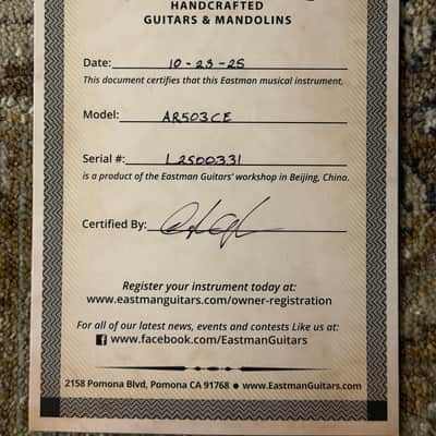 Eastman AR503CE 16" Archtop Electric Guitar in Classic Finish w/ Hard Case & Free Pro Setup image 19