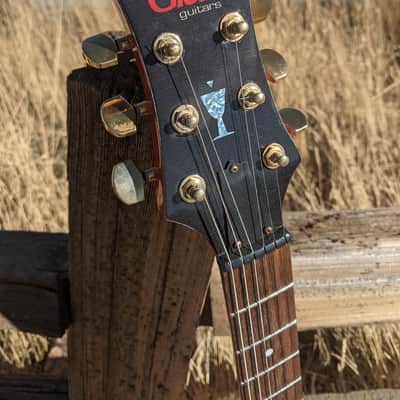 Semi-Hollow Orange Burst Seymour Duncan P-Rails w/Triple Shot Mounting Rings image 10