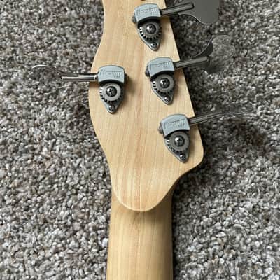 Alien Audio Constellation 5 String Fretless Bass image 4