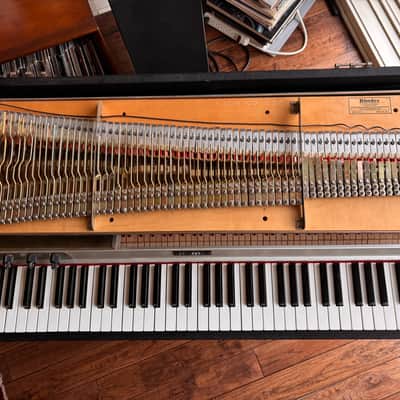 See Video! Vintage 1977 Rhodes Suitcase Piano 73-Key Electric Piano Serviced and Ready! image 8