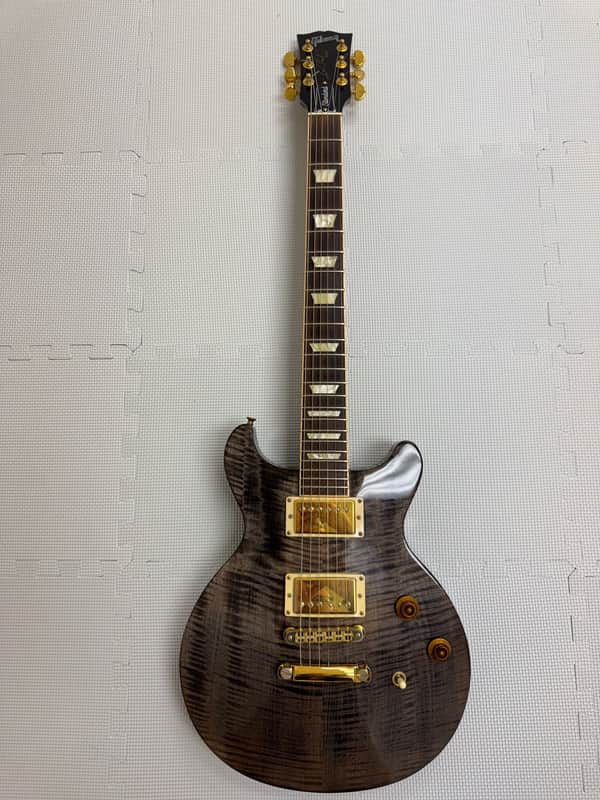 Gibson Les Paul Standard Double Cutaway Plus image 1