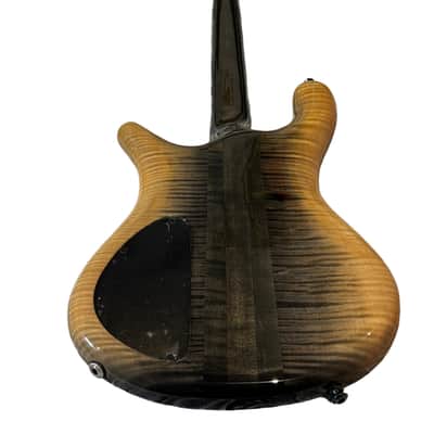 SPECTOR NS 2 - USA 2021 - 4 STRINGS image 13