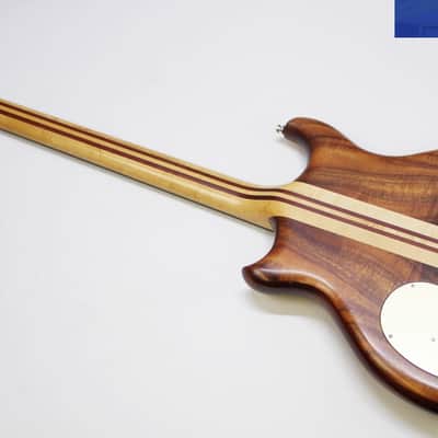 Alembic Series 1 - 1981 **Includes Original Power Supply** image 7