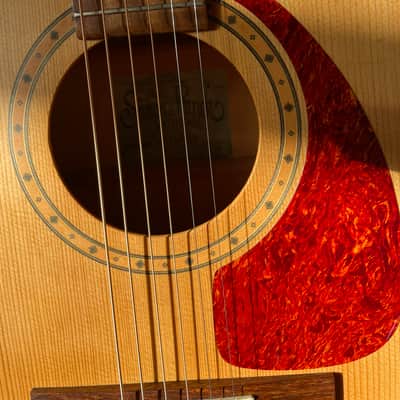 Simon & Patrick S&P 6 Spruce 2002 - Solid spruce top, laminated cherry back and sides. image 19