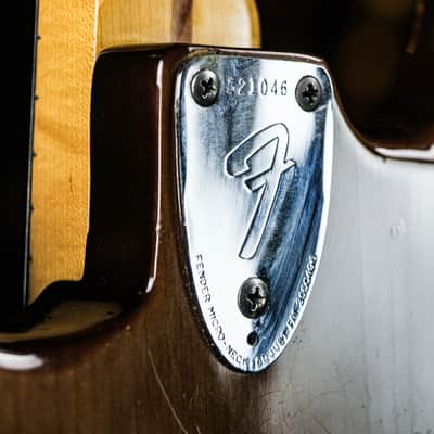 1973 Fender Stratocaster walnut image 19