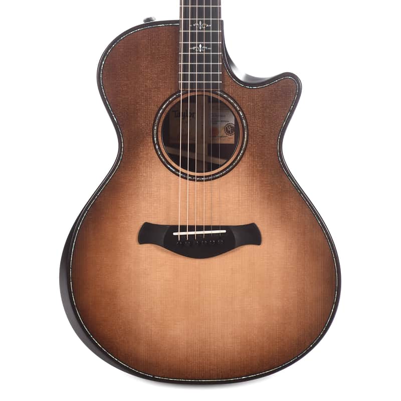 Taylor Builder's Edition 912ce with V-Class Bracing image 2