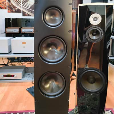 SCANSONIC BY RAIDHO Q10 image 10