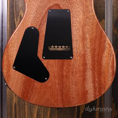 PRS Wood Library Custom 24-08 River Blue image 7