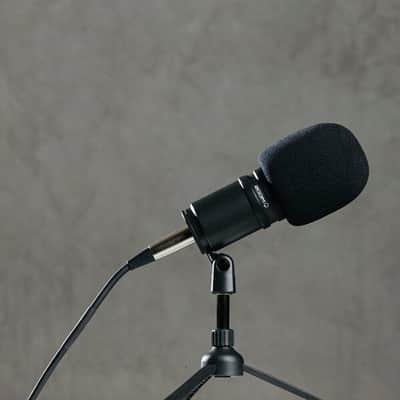 Zoom ZDM-1 Dynamic Podcast and Vocal Microphone image 4