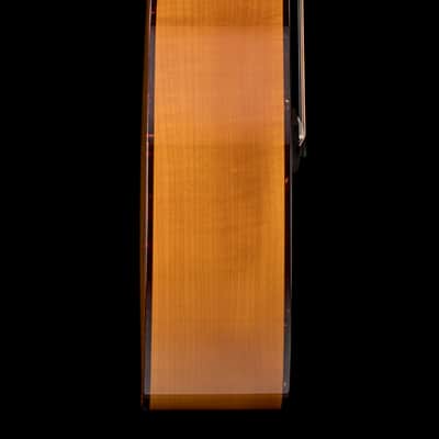 Taylor Custom Select 414ce Big Leaf Maple/Sitka Spruce, Tort Binding #73049 image 6
