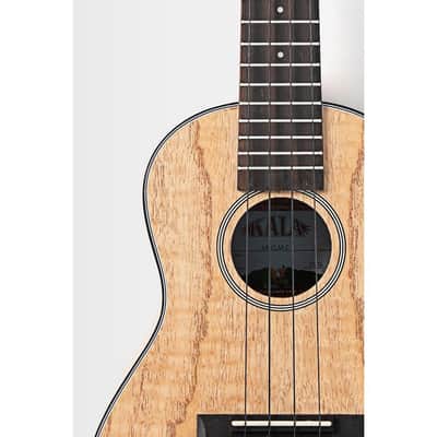 Kala Cape Lilac Mahogany KA-CLM-C Uke Concert W/Gigbag image 4