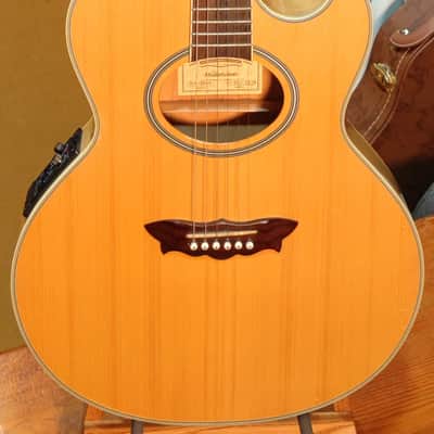Washburn EA-2000 1999 - Natural image 2