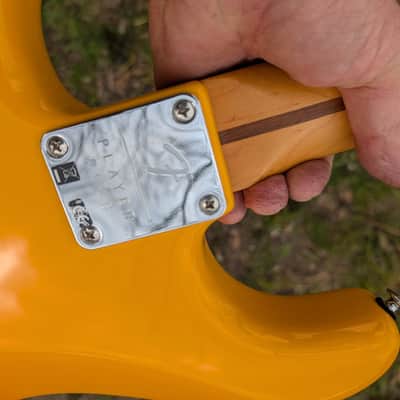 Fender Stratocaster Player plus - Tequila Sunrise image 9