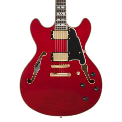D'Angelico Excel DC Trans Cherry w/Gigbag image 4