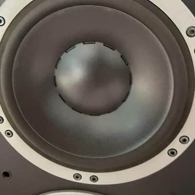 Dynaudio Evidence Master.  Awesome SOTA Flagship model image 13