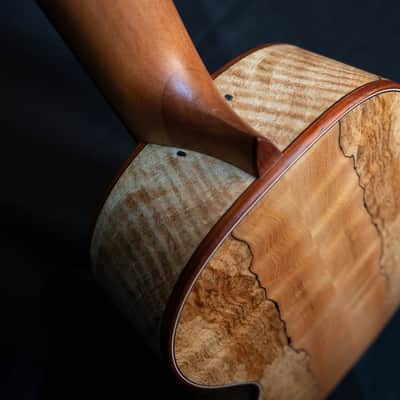 Cordoba 24T cedar top spalted maple tenor ukulele image 12