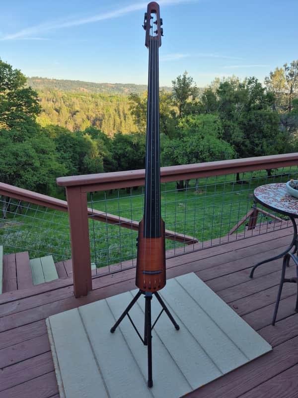 NS DESIGN NXT Upright Bass. With FLIGHT CASE. 4 String Circa 2010 image 1
