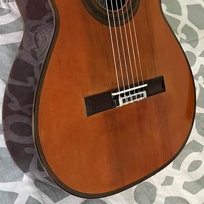 Classical guitar Andrea Tacchi  2013 image 1