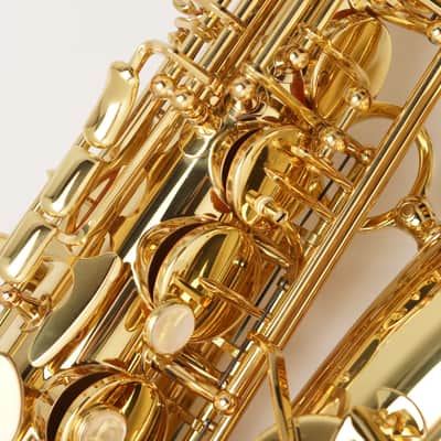 【Special price】 Yanagisawa A-WO1 [AW01] Professional Alto Saxophone image 8