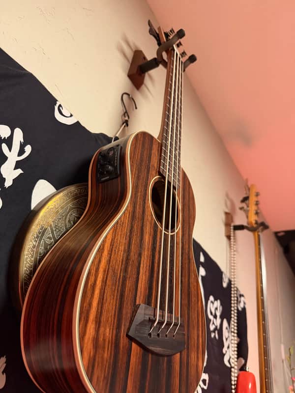 Kala UBASS with Round Wound strings image 1